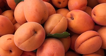 Sweet to Tart, Buttery to Crisp: A Farmers Market Guide to Pears : Foodwise